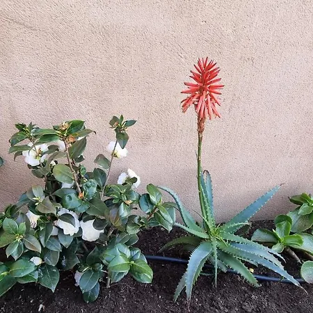 Apartman Le Bella Vista Piana