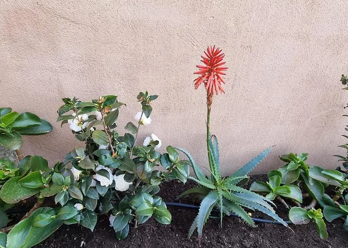 Apartman Le Bella Vista Piana